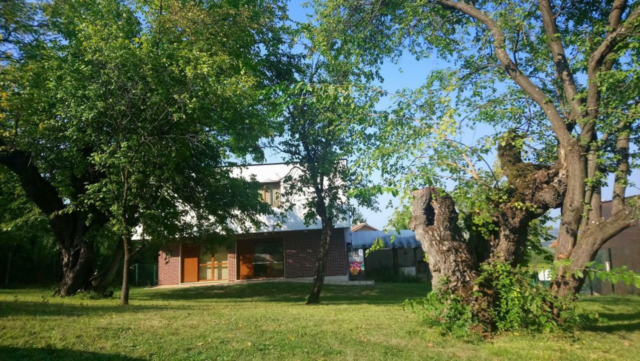 Villa Dream Dobrevtsi Экстерьер фото